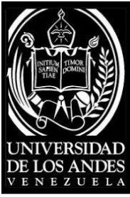 Parches Insignia Universidad de los Andes 6x4 cms